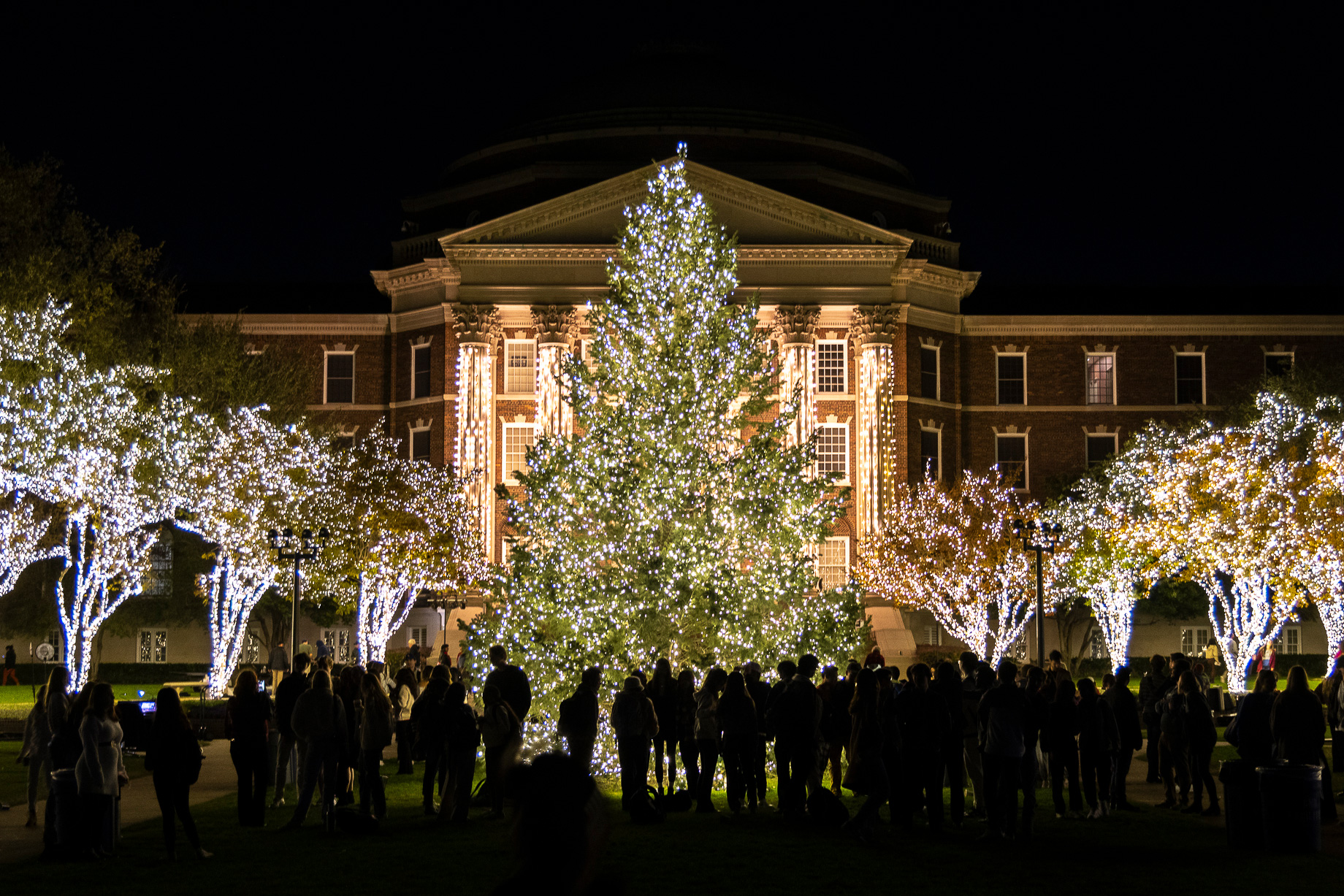 Celebration of lights