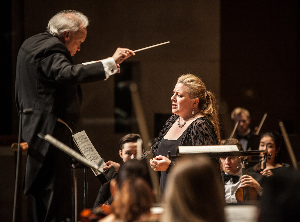 String section of the Meadows Orchestra