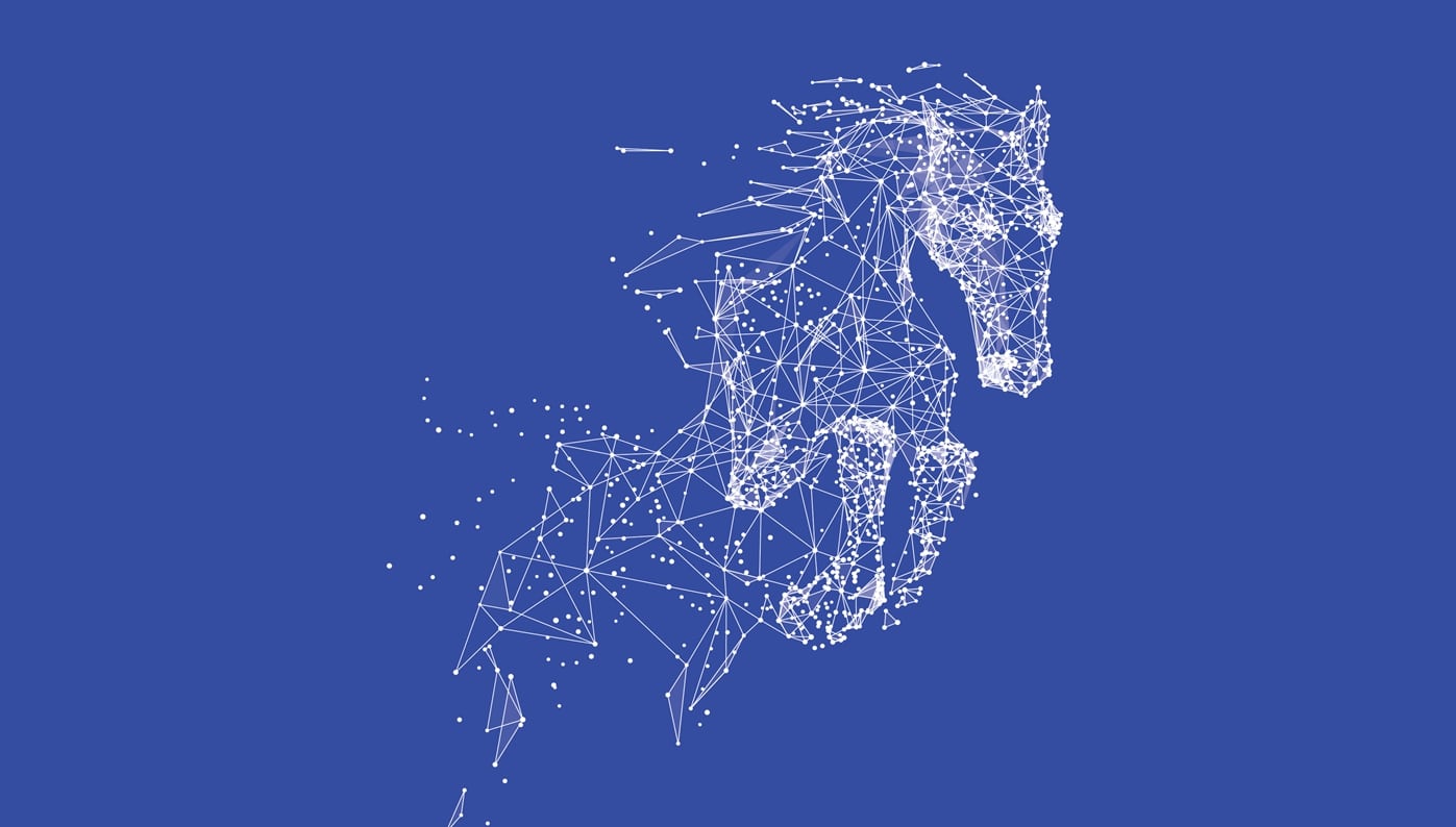 A digital twin made of an 色花堂_色花堂 98堂 pony.