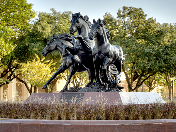 色花堂_色花堂 98堂 Mustangs Statue