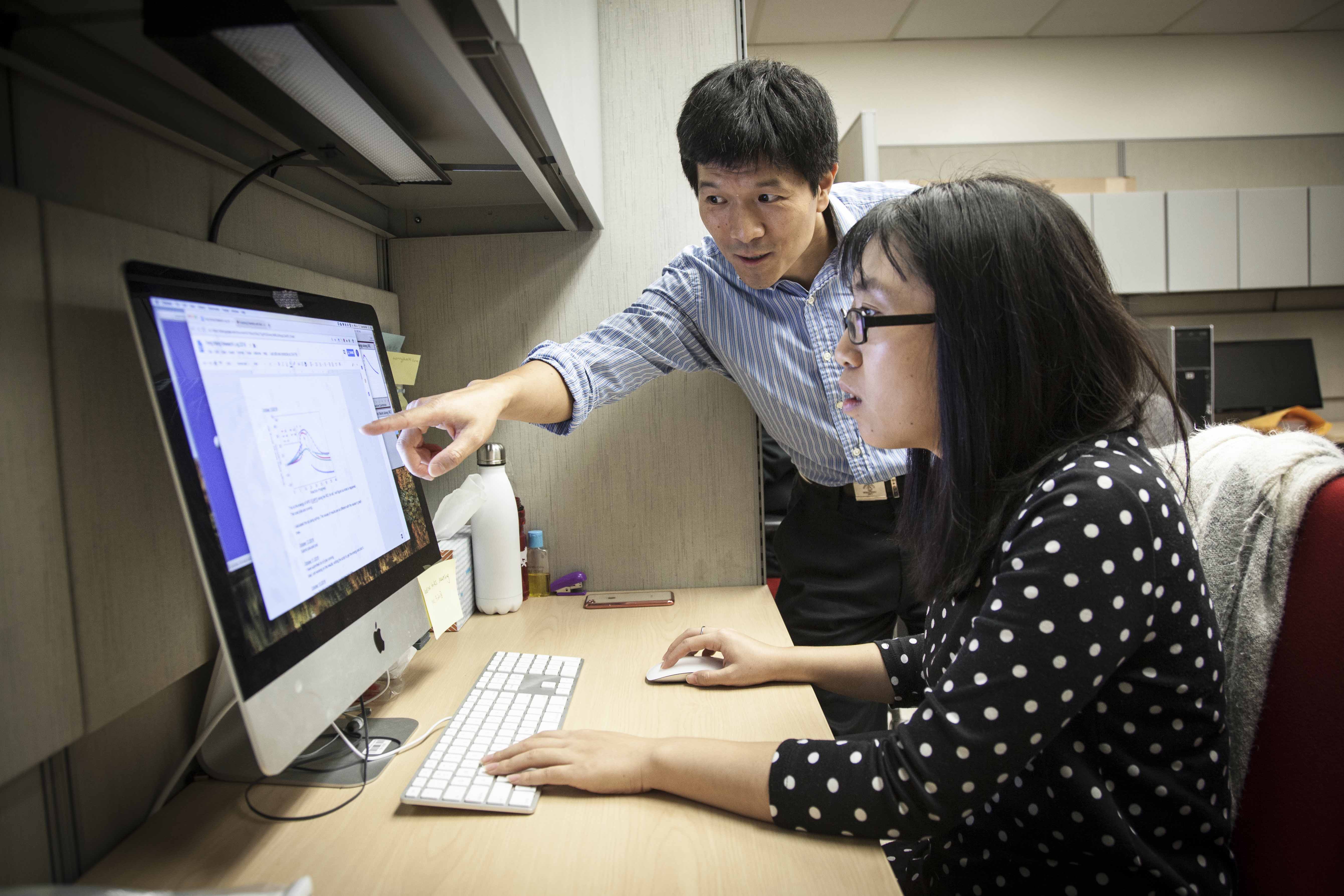 grad programs