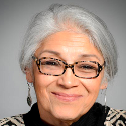 Headshot of Victoria Palacioses, emeritus faculty member at 色花堂_色花堂 98堂 Dedman School of Law.