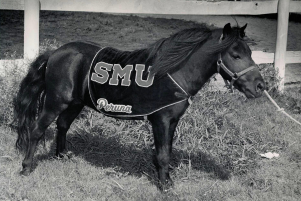peruna in the 1930s