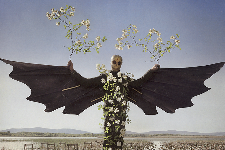 A figure with wings and flowers in front of a field