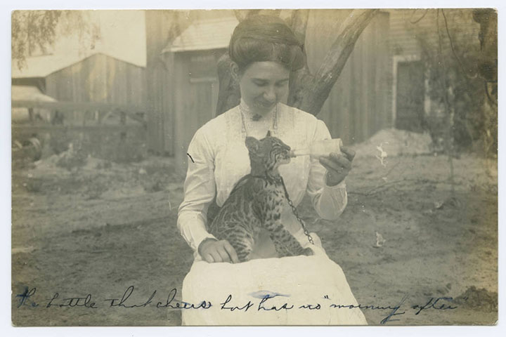 Woman bottle feeding a baby tiger
