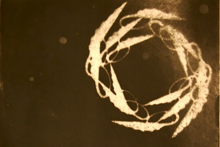 cream circle on brown background