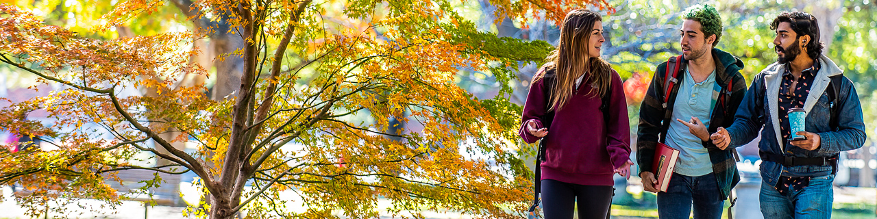 Graduate students in active discussion as they walk through campus on a beautiful fall day. 