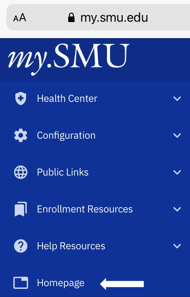 homepage icon