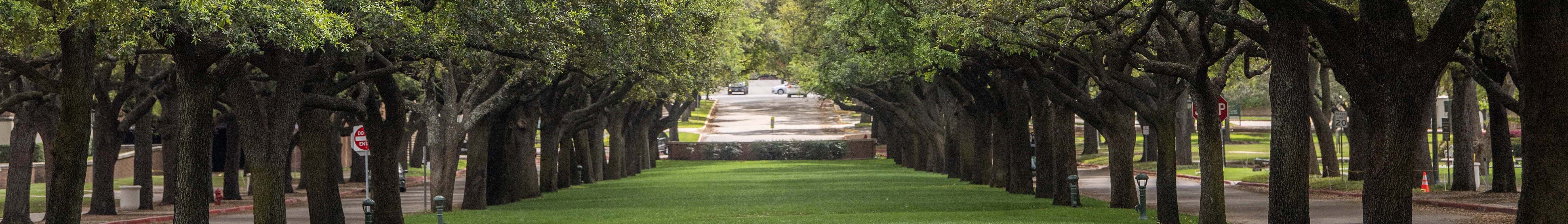 campus beauty