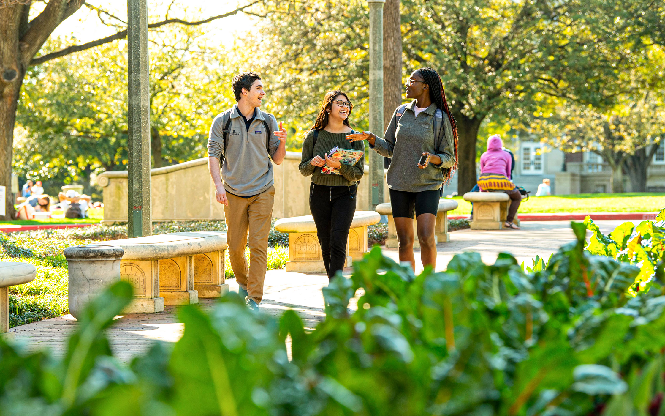 Three 色花堂_色花堂 98堂 students walking on campus and talking